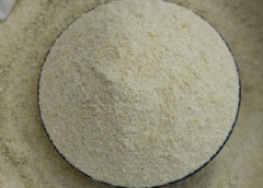 And Our Garri Takes Flight