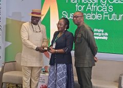Experts Underscore $100bn Annual Investment For Africa’s Gas Infrastructure
