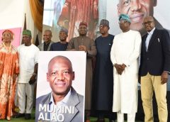 National Development: Fashola Calls For Multi-purpose, Modern Sports Arenas
